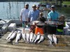 (08/12/2018) - Nice Striped Bass